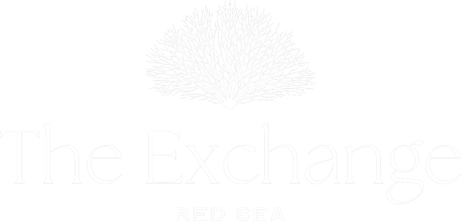 The Exchange: Red Sea
